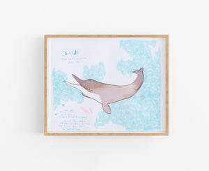 Baiji Dolphin