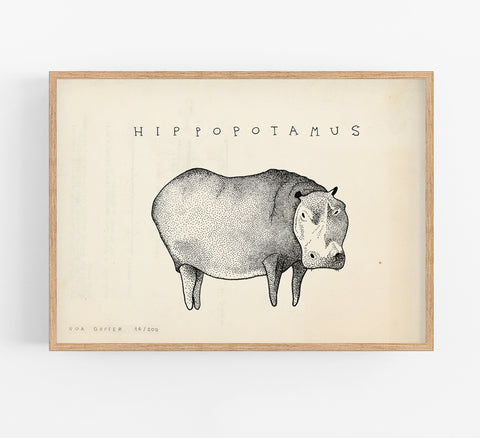 Hippopotamous